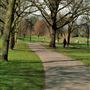 Wandsworth Common