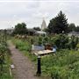 Gibbons Road Allotments