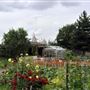 Gibbons Road Allotments