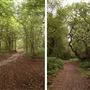 Petts Wood Parks