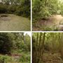 Scadbury Park