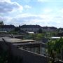White Hart Lane Allotments