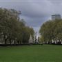 Victoria Tower Gardens