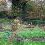 Queen's Wood Cafe