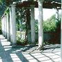 Hampstead Heath - the Hill Garden and Pergola
