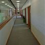 Shooters Hill Sixth Form College