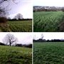 Totteridge Fields