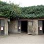 Newham City Farm