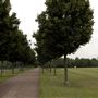 Beckton District Park
