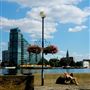 Cremorne Gardens