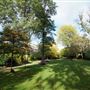 Blenheim & Elgin Communal Gardens