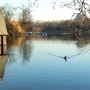 Serpentine, Hyde Park