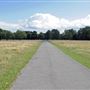 Bushy Park