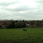 Eltham area