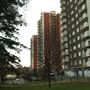 Lewisham Park