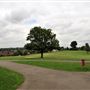 Blythe Hill Fields
