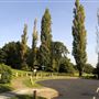 Barn Hill Open Space