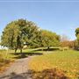 Hilly Fields