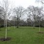 Dulwich Park