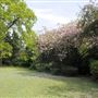 Bernays Gardens