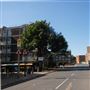 Cropley Street