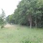 Richmond Golf Club, The