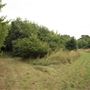 Whitings Wood