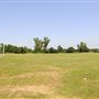 West Hendon Playing Fields