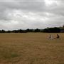 Burgess Park