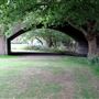 Old Deer Park