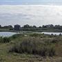 WWT London Wetland Centre