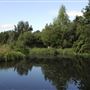 WWT London Wetland Centre