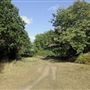 Barnes Common
