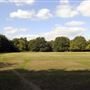 Barnes Common