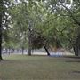 Royal Victoria Gardens