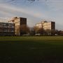 Weavers Fields