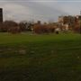 Weavers Fields