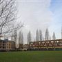 Allen Gardens