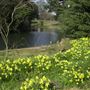 Ravenscourt Park