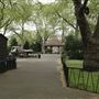 Lincoln's Inn Fields