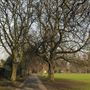 Lammas Park