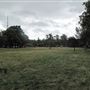 Long/Bell Meadow