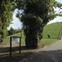 Dock Hill Avenue