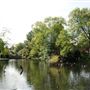 Waddon Ponds