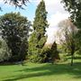 Park Hill Park