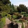 Coombe Wood