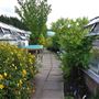 Wolves Lane Horticultural Nursery