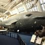 Natural History Museum
