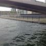 London's Royal Docks