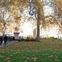 Cavendish Square
